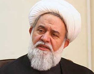 رئیس شورای حوزه‌های علمیه تهران از «فلسفه حکم» می‌گوید