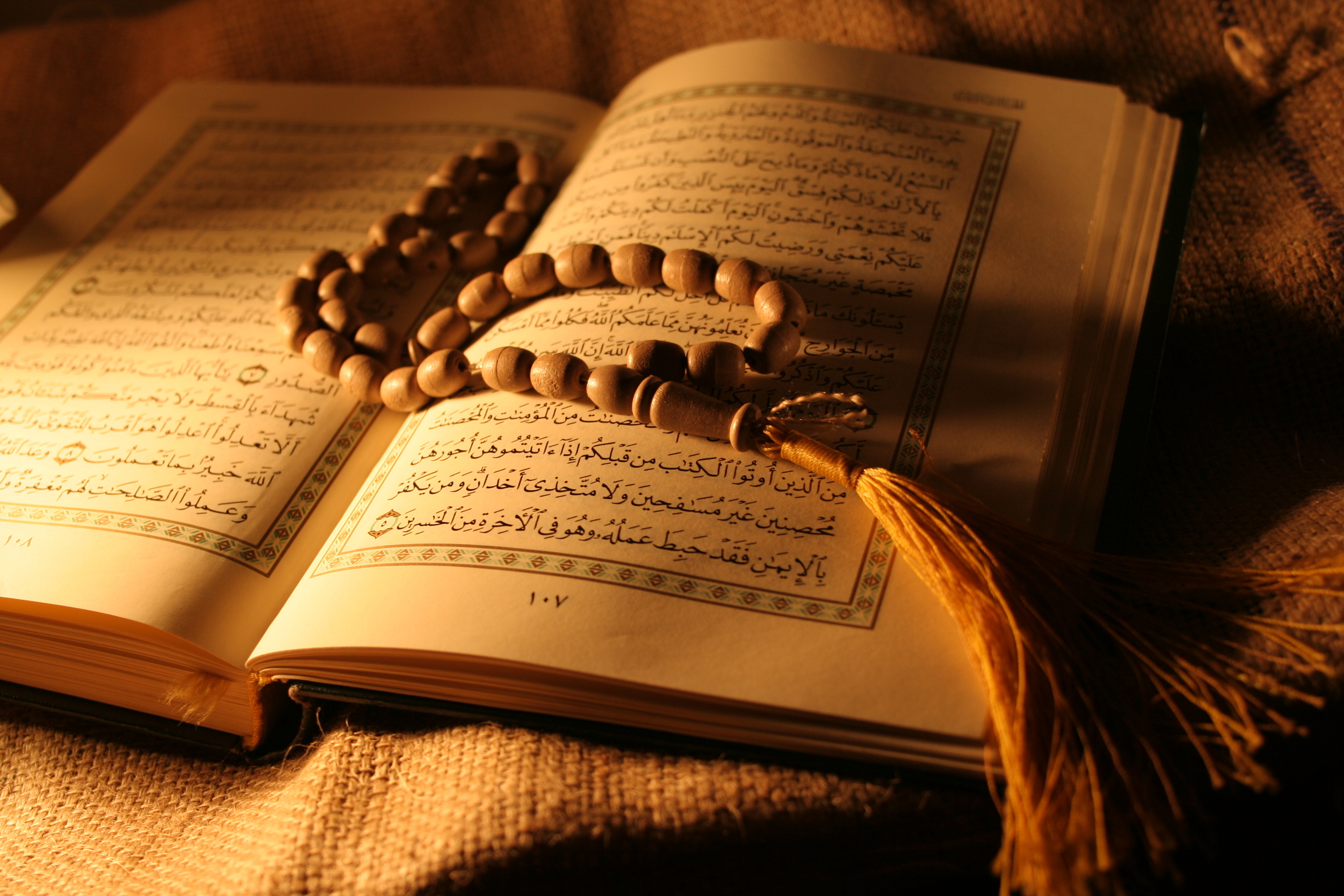 تعامل قرآن و علوم انسانی
